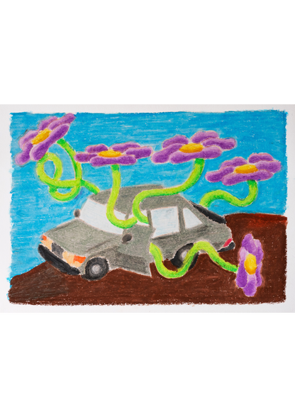 Affiche "Problem in the car"